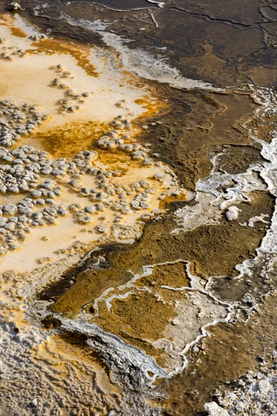 在怀俄明州黄石国家公园的热水池 — 图库照片