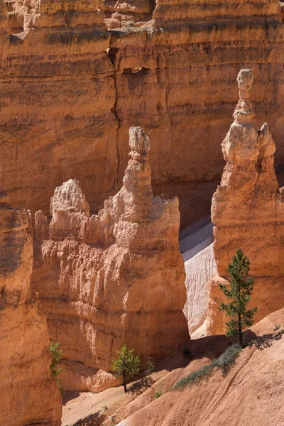 Paisagem Cânion Bryce Nos Estados Unidos América — Fotografia de Stock