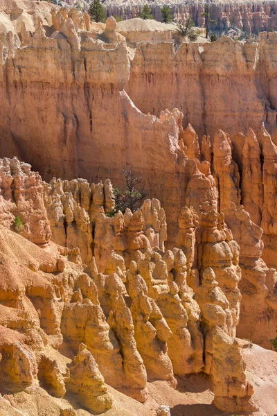 Τοπίο Σχετικά Bryce Canyon Για Τις Ηνωμένες Πολιτείες Της Αμερικής — Φωτογραφία Αρχείου