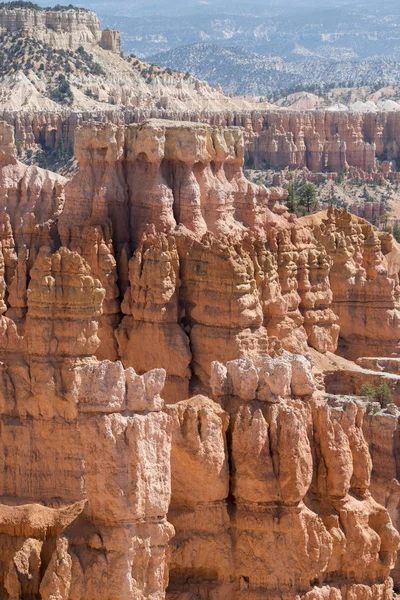 Paysage Sur Canyon Bryce Dans Les États Unis Amérique — Photo