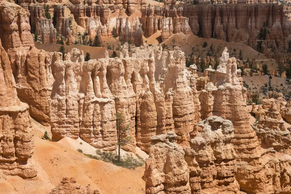 Τοπίο Σχετικά Bryce Canyon Για Τις Ηνωμένες Πολιτείες Της Αμερικής — Φωτογραφία Αρχείου