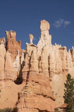 Amerika Birleşik Devletleri bryce Kanyon'a manzara