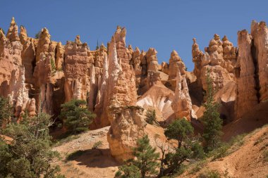 Amerika Birleşik Devletleri bryce Kanyon'a manzara