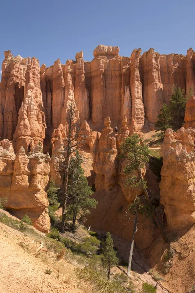 Paisagem Cânion Bryce Nos Estados Unidos América — Fotografia de Stock