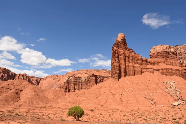 Drogi Scenic Byway Capitol Reef National Park Stany Zjednoczone Ameryki — Zdjęcie stockowe