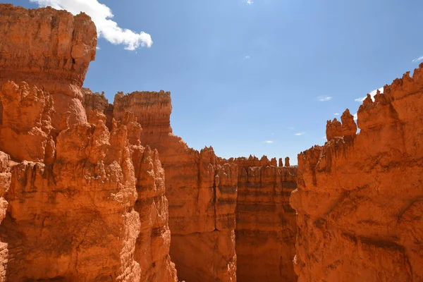 Liggend Bryce Canyon Verenigde Staten Van Amerika — Stockfoto