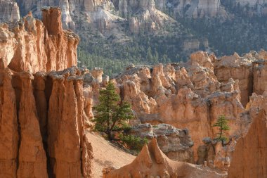 Amerika Birleşik Devletleri bryce Kanyon'a manzara