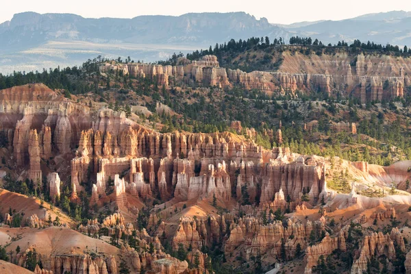 Paysage Sur Canyon Bryce Dans Les États Unis Amérique — Photo