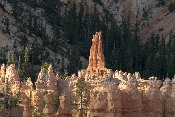 Paysage Sur Canyon Bryce Dans Les États Unis Amérique — Photo