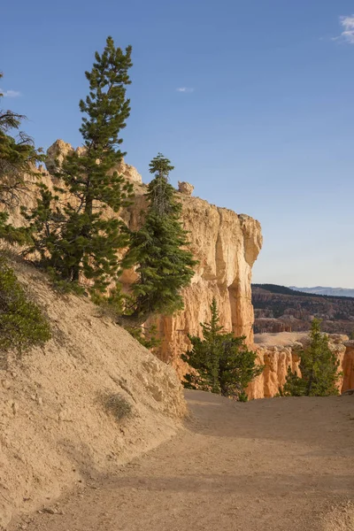 Bomen Bryce Canyon Verenigde Staten Van Amerika — Stockfoto