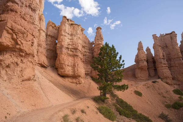 Landscape Bryce Canyon United States America — Stock Photo, Image