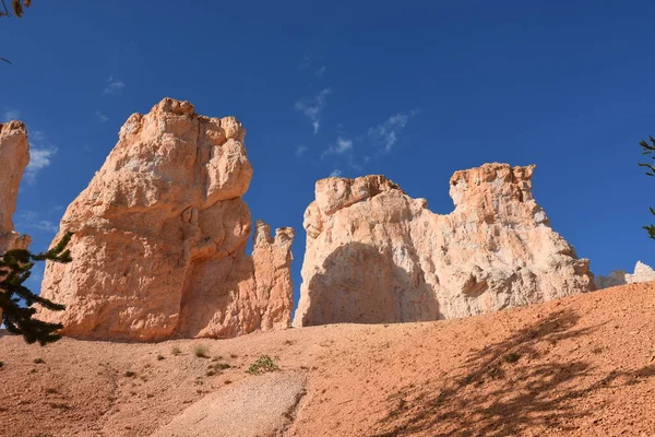 Liggend Bryce Canyon Verenigde Staten Van Amerika — Stockfoto