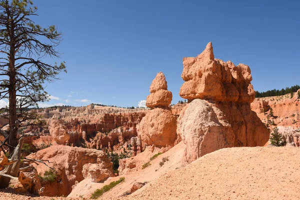 Paisaje Cañón Bryce Los Estados Unidos América —  Fotos de Stock