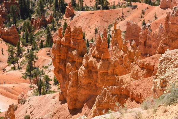 Paysage Sur Canyon Bryce Dans Les États Unis Amérique — Photo