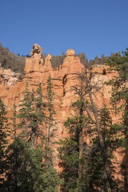 Amerika Birleşik Devletleri bryce Kanyon'a manzara