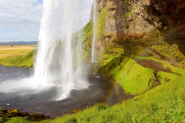 İzlanda'daki seljalandsfoss şelale yaz