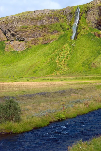Chute Eau Seljalandsfoss Islande Été — Photo
