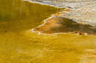 Siyah kum havzasında Yellowstone Milli Parkı'nda Wyoming Şofben