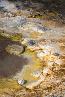 Siyah kum havzasında Yellowstone Milli Parkı'nda Wyoming Şofben
