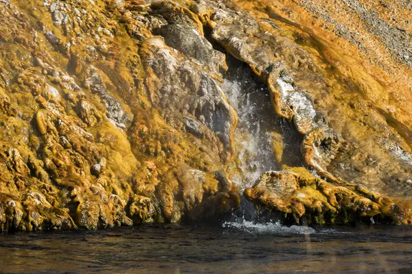 stock image Geyser in Black Sand Basin in Yellowstone National Park in Wyoming