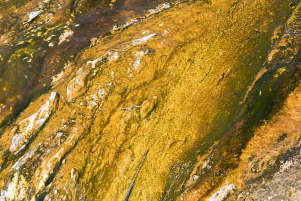 Geyser Bacia Areia Negra Parque Nacional Yellowstone Wyoming — Fotografia de Stock