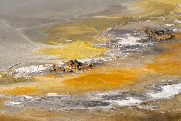 Geyser Nel Bacino Sabbia Nera Nel Parco Nazionale Yellowstone Nel — Foto Stock