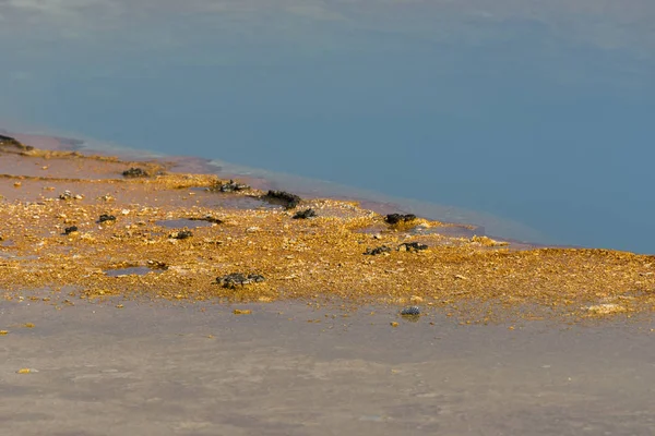 Gheizer Bazinul Nisipului Negru Din Parcul Național Yellowstone Din Wyoming — Fotografie, imagine de stoc