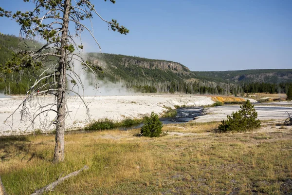 Geyser Bacia Areia Negra Parque Nacional Yellowstone Wyoming — Fotografia de Stock