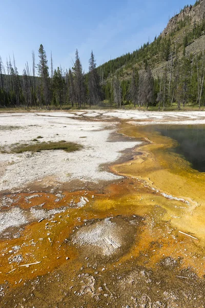 Geyser Dans Bassin Sable Noir Dans Parc National Yellowstone Dans — Photo