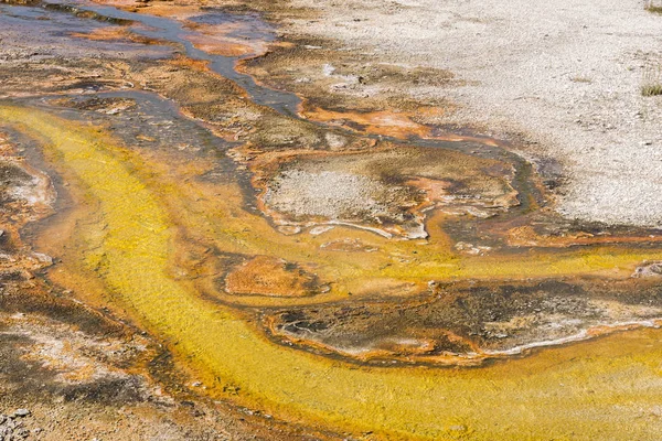 Θερμοπίδακας Στη Μαύρη Άμμο Λεκάνη Στο Εθνικό Πάρκο Yellowstone Ουαϊόμινγκ — Φωτογραφία Αρχείου