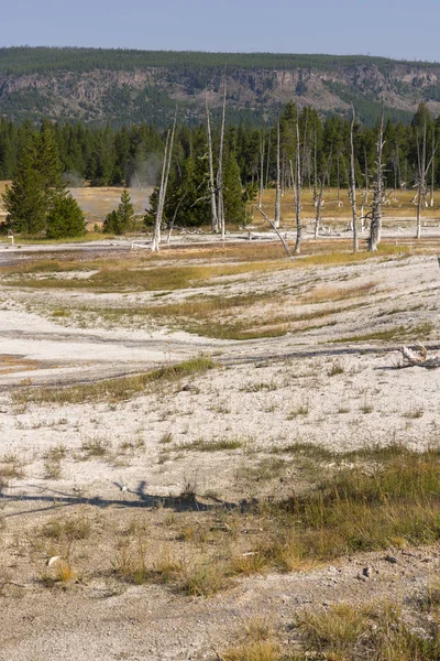 Géiser Cuenca Arena Negra Parque Nacional Yellowstone Wyoming — Foto de Stock