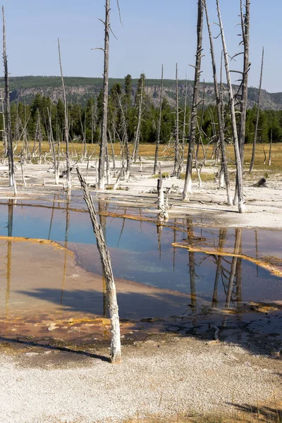 Géiser Cuenca Arena Negra Parque Nacional Yellowstone Wyoming — Foto de Stock