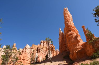 Amerika Birleşik Devletleri bryce Kanyon'a manzara