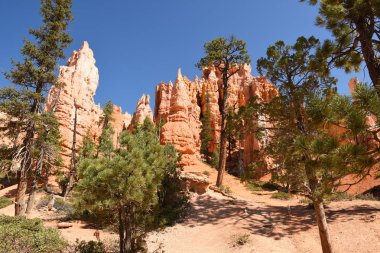 Amerika Birleşik Devletleri bryce Kanyon'a manzara