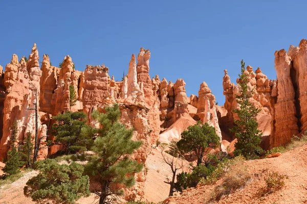 Paisaje Cañón Bryce Los Estados Unidos América —  Fotos de Stock