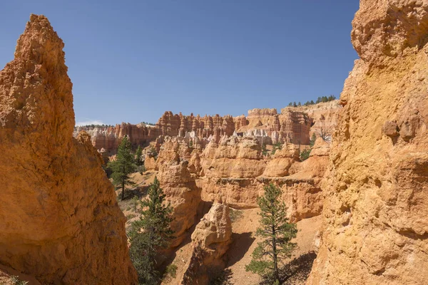 Landscape Bryce Canyon United States America — Stock Photo, Image