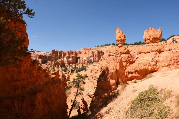 Paisagem Cânion Bryce Nos Estados Unidos América — Fotografia de Stock