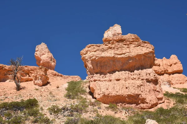 Paisaje Cañón Bryce Los Estados Unidos América — Foto de Stock