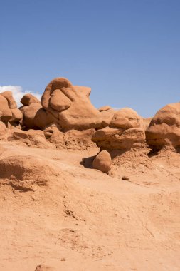 Amerika Birleşik Devletleri cin devlet parkta manzara