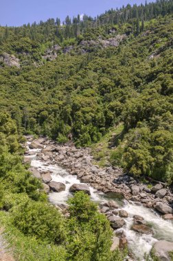 Orman ve şelale California'daki Yosemite Milli Parkı '