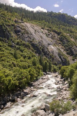 Orman ve şelale California'daki Yosemite Milli Parkı '