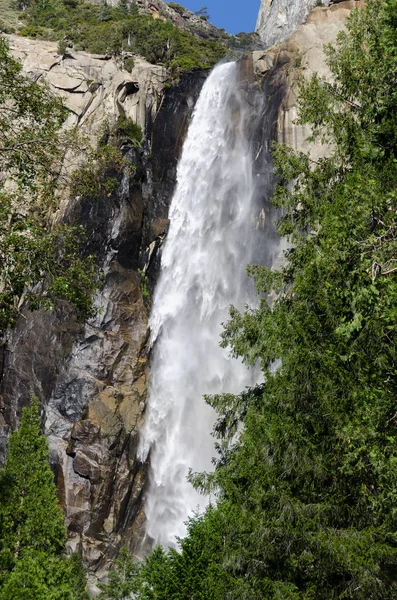 Bosque Cascada Parque Nacional Yosemite California —  Fotos de Stock