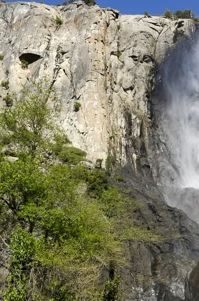 Bosque Cascada Parque Nacional Yosemite California —  Fotos de Stock