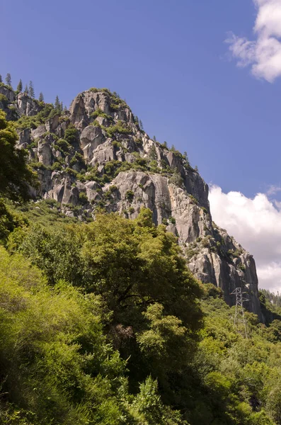 Floresta Cachoeira Parque Nacional Yosemite Califórnia — Fotografia de Stock