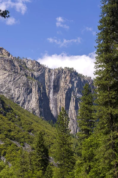 加州约塞米蒂国家公园的森林和瀑布 — 图库照片