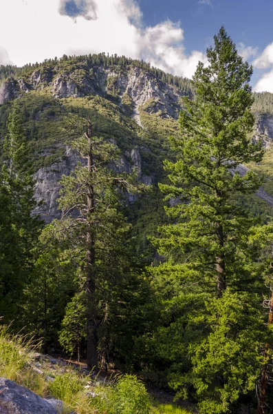 Bosque Cascada Parque Nacional Yosemite California — Foto de Stock