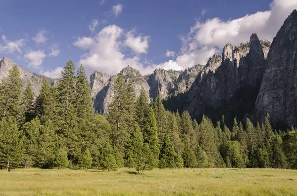 Bosque Cascada Parque Nacional Yosemite California — Foto de Stock