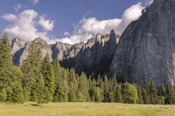 Bosque Cascada Parque Nacional Yosemite California — Foto de Stock