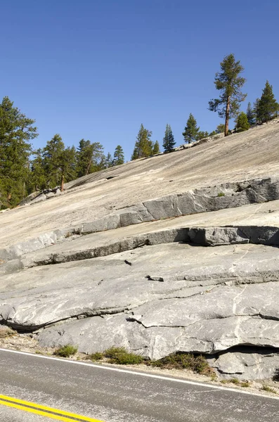 Rochers Les Arbres Dans Parc National Yosemite Californie — Photo