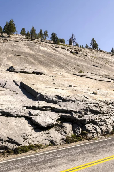 Rochas Árvores Yosemite National Park Califórnia — Fotografia de Stock